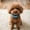 A, variant on Pet Safe Adjustable Collar for Dogs and Cats with Quick Release Buckle Reflective Strips Comfort Fit Training and Outdoor Indoor Use Medium Large Small Breeds 28cm