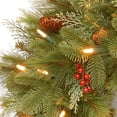 thumbnail image 3 of National Tree Company Pre-Lit Artificial Christmas Wreath, Green, Noelle, White Lights, Decorated with Pine Cones, Berry Clusters, Christmas Collection, 24 Inches, 3 of 5