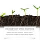 thumbnail image 4 of Polvo enraizante para plantas | Catalizador de hormona enraizante | Nutrientes de nitrógeno, fósforo y potasio para plantas | Mejora el crecimiento y la resistencia al estrés | 1 paquete de, 4 of 9