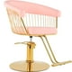 thumbnail image 1 of Silla Circular Gold Estetica Spa Ajustable Giro 360 Rosa Nanofort, 1 of 8