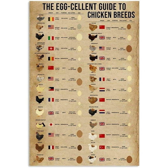 Retro Metal Tin Sign The Egg-Cellent Guide to Chicken Breeds Kitchen Home Farm Wall Decor 8x12 Inches