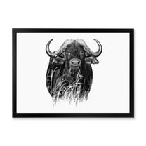 Designart 'Black and White Portrait Of Buffalo IV' Farmhouse Framed Art Print