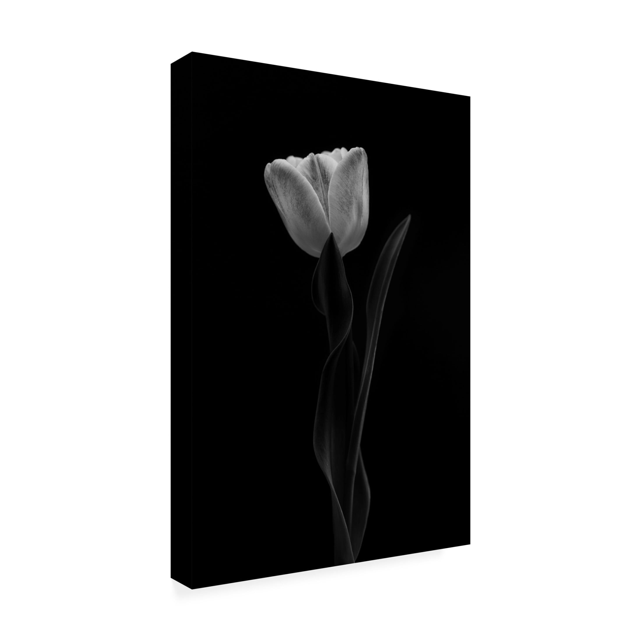 Canvas Wall Art - Lotte Gronkjar 'Tulip' Wall Art for Living Room, Bedroom, or Office Décor by Trademark Fine Art - 22 x 32 Inches