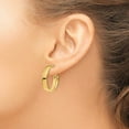 thumbnail image 3 of Primal Gold 14 Karat Yellow Gold Hoop Earrings, 3 of 4