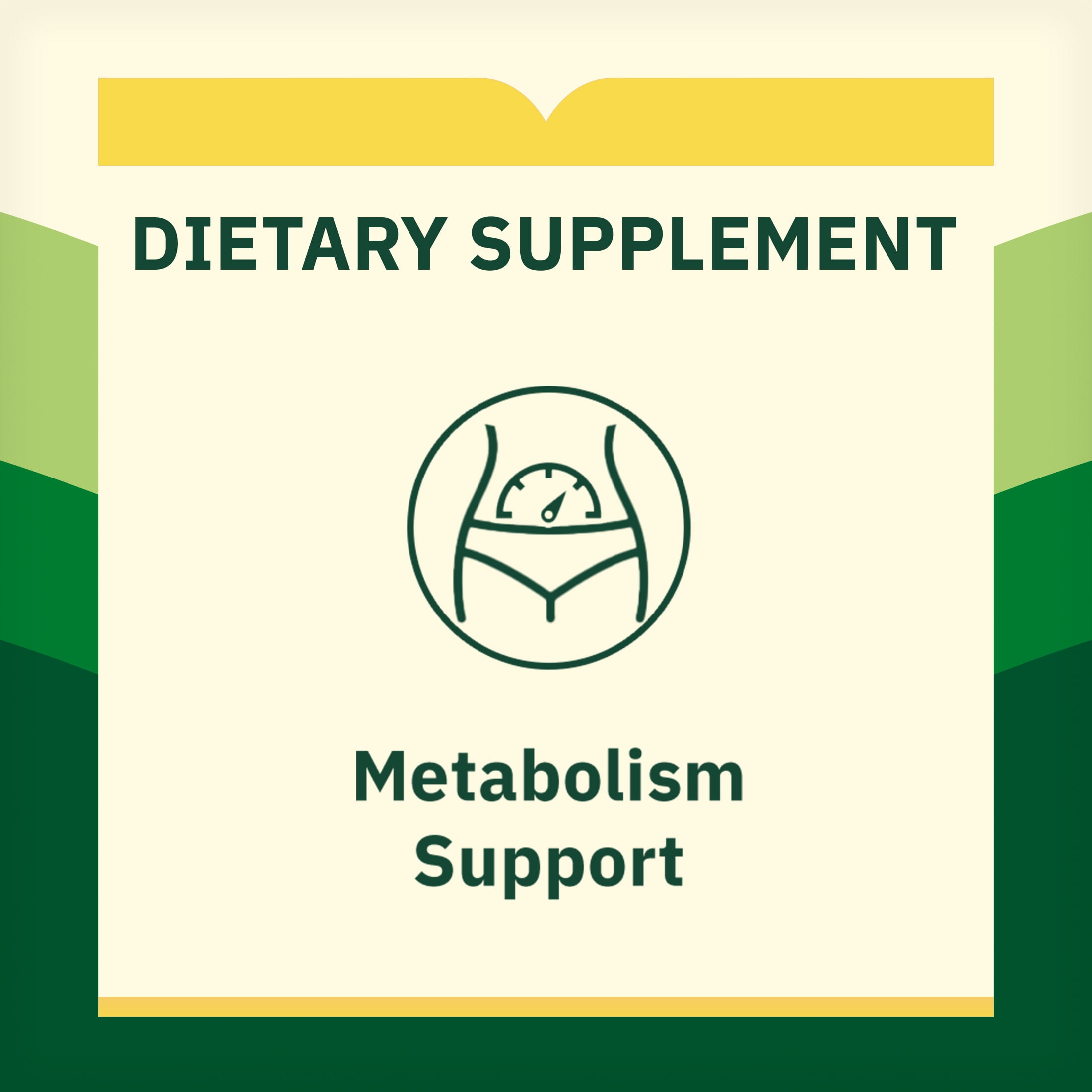 (3 pack) Spring Valley Berberine Metabolism Support Dietary Supplement, 1200 mg, 40 Count