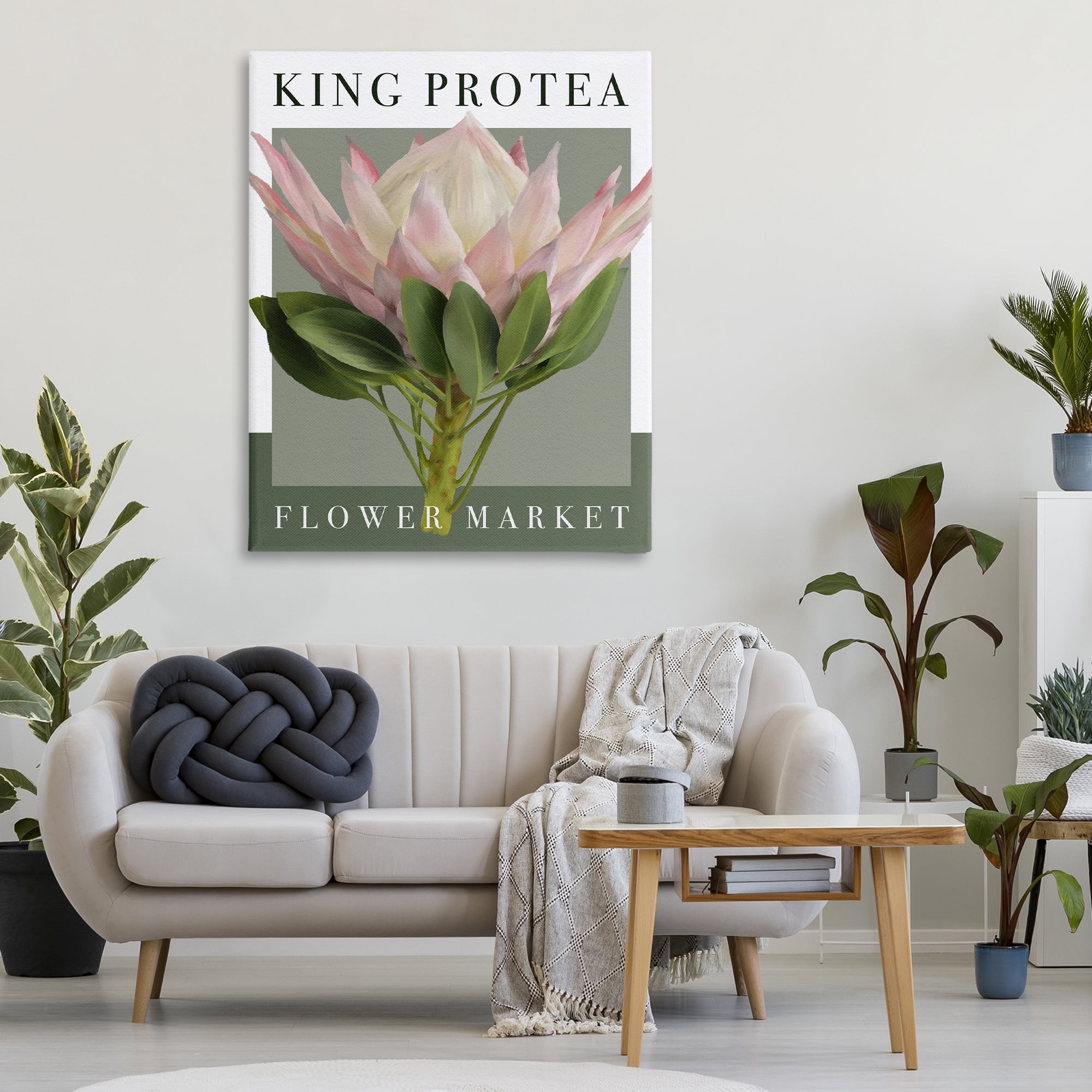 Stupell Industries King Protea Flower Market Canvas Wall Art, design by Jennifer Stith