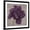 Black Frame, variant on Art.com Black Plum 1 Stretched Canvas Print Wall Art by Ariane Martine, 24" x 24"