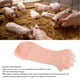 thumbnail image 4 of Guantes Veterinarios, Amplia Aplicación EVA, No Tóxicos, Seguros, 50 Unidades, Diseño De Banda De Goma Desechable Para Palpación De Vaca Para Lavavajillas, 4 of 8