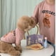 thumbnail image 5 of Otoño e invierno, osito de peluche cálido de seda de leche, lindo perro, gato, mascota, oso amargo, ropa, suministros para padres e hijos, 5 of 5