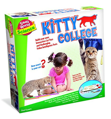 cat toys walmart canada