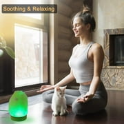 FANHAO Himalayan Salt Lamp 16 Colors, LED Night Light, USB Remote Control, 5-6 inch Height, Decor