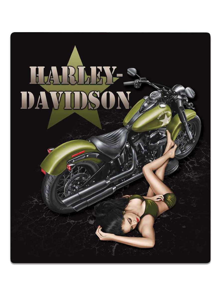 Harley-Davidson Dark Custom #1 Tin Metal Sign 12 x 18 Inches 2010521 -  Walmart.com, image size:891x1185