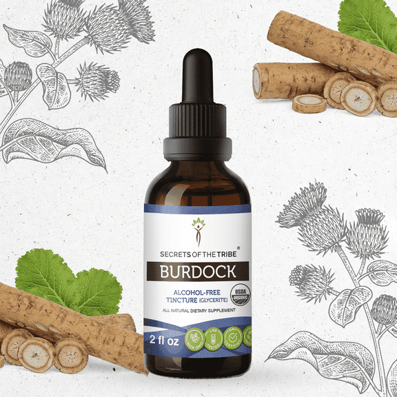 Secrets Of The Tribe Burdock Organic Tincture Dietary Supplement, Natural Herbal Extract for Detox Support, Certified Organic Burdock (Arctium lappa) Dried Root, Alcohol-Free Extract, Drops 2 oz