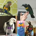 thumbnail image 5 of Cute Colorful Training Behaviour Aids Pet  Supplies Cockatiel Parakeet Parrot Diaper Parrot Clothes Bird Nappy Pigeons Flight Suit PINK S, 5 of 8