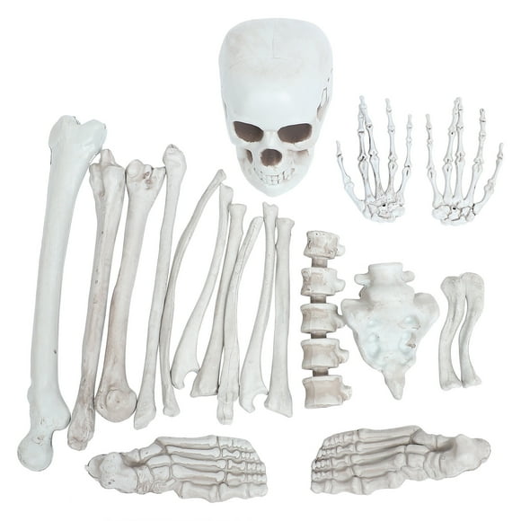 1 Set Human Skeleton Bones Graveyard Human Skulls Spooky Scene Props Party Supplies