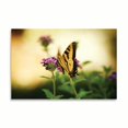 thumbnail image 2 of Gango Home Decor Garden Butterfly III by Philip Clayton Thompson (Printed on Paper); One 36x24in Fine Art Paper Giclee Print, 2 of 4