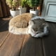 thumbnail image 4 of Simulación De Gato Modelo De Animal Juguete Para Gatos Manualidades Decoración Para El Hogar Accesorios Para Fotografía, 4 of 4