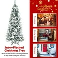 View all media