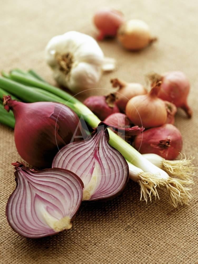 Various Onion Family Vegetables, Unframed Photographic Print Wall Art