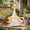 1 - Multicolor, variant on Aurorax Fall Porch Goose Outfit 19 inch,Goose Clothes for Cement Goose Porch Goose 23"/17",Farmhouse All the Season Porch Goose Accessories for Garden Lawn Yard