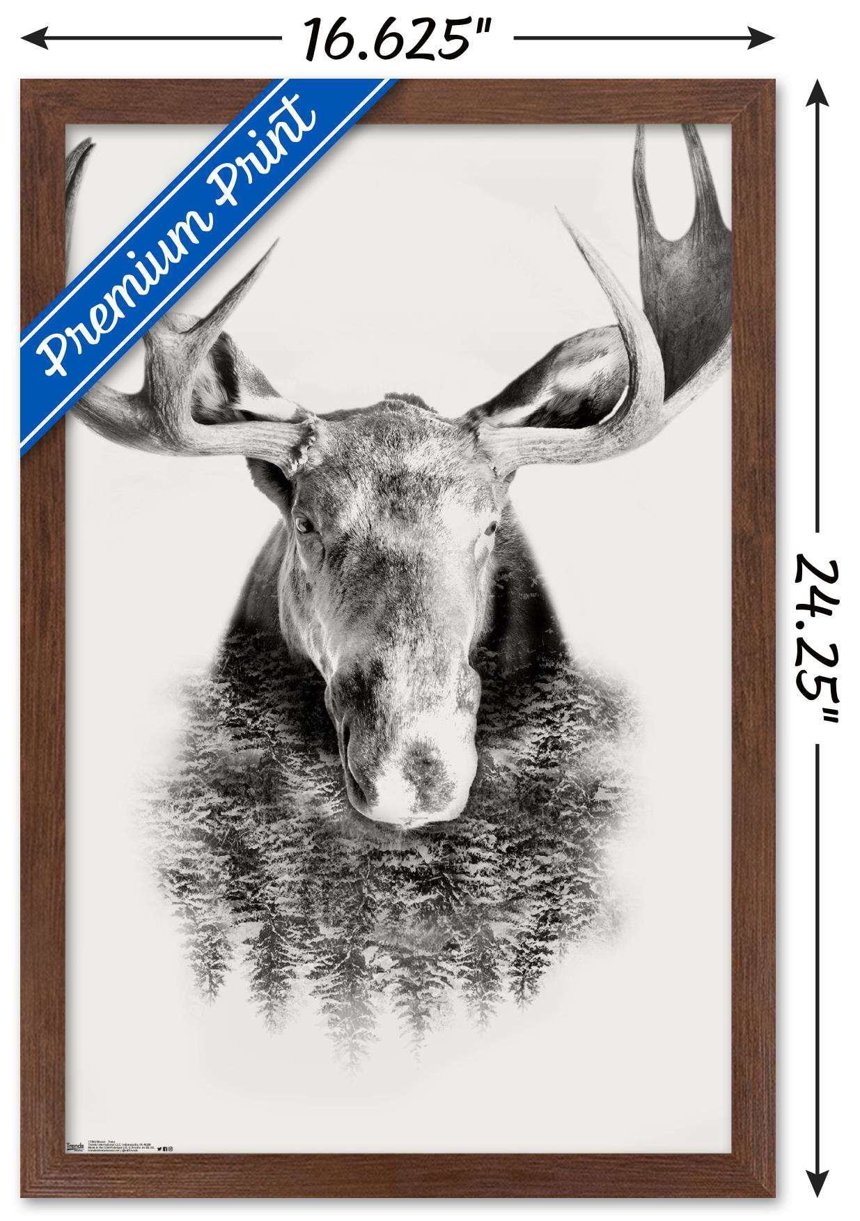 Moose - Trees Wall Poster, 14.725" x 22.375", Framed