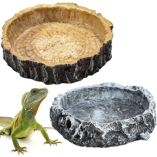 2 pièces bols de nourriture pour reptiles bols d'eau et de nourriture pour  reptiles mangeoire à vers de roche pour léopard plat d'eau de reptile bol de  nourriture pour lézards, jeunes dragons