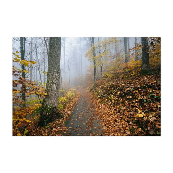 Fog Foliage No. 2 - Virginia Photography Unframed Wall Art Print 5 x 7 inches