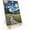 Starry Night 058, variant on Hummingbird Framed Paint by Numbers Kit for Adults 8x12 Inch | Adult Paint by Number Kits Framed Canvas, Flowers Paint by Number with Easel, DIY Oil Painting by Numbers, Home Wall Decor
