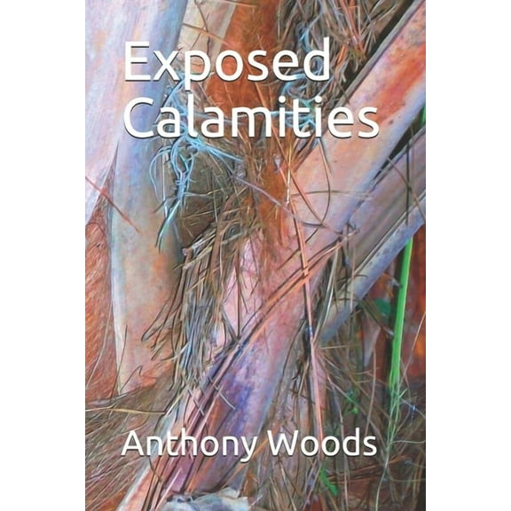 Storm of Souls: Exposed Calamities (Series #3) (Paperback)