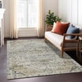 thumbnail image 6 of Addison Rugs Chantille Indoor/Outdoor Traditional Global Taupe Machine Washable Rectangle Rug, 5' x 7'6", 6 of 8