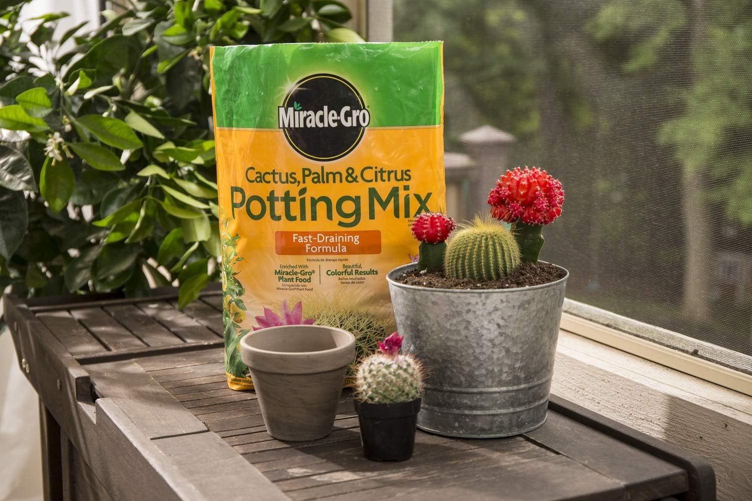 Miracle-Gro Cactus, Palm & Citrus Potting Mix, 8 qt. 3-Pack — Residential Use, Standard Application