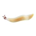 thumbnail image 1 of Cambrian Animal Model Decoration Realistic Ornamental Cambrian Ancient Marine Animals Statue Ornament, 1 of 5