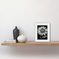 thumbnail image 2 of Daisy Flower Bloom Black and White Pencil Drawing Artwork Framed Wall Art Print 9X7 Inch, 2 of 5