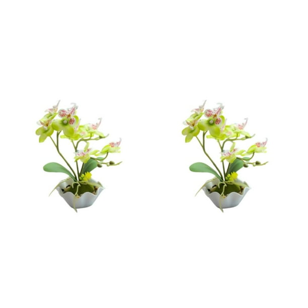 Planta Falsa Billuyoard ABS Colorida 2Conjunto