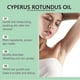 thumbnail image 4 of 1-3x Cyperus Rotundus Oil - Organic Cyperus Rotundus Oil, Natural Nut Grass Oil for Reducing Body Hair Growth, Smooth Skin & Hair Removal, 4 of 5