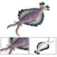 thumbnail image 2 of Figuritas De Criaturas Marinas Prehistóricas Marrella Figuras De Animales Modelos Antiguos Educativos Para Decorar Tartas Proyectos Escolares Juguetes Juguetes Divertidos Y Curiosos, 2 of 4