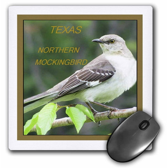 3dRose, Texas State Bird Northern Mockinbird, MousePad