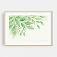 thumbnail image 2 of Calm Foliage Gentle Green  - Painting Botanical Floral Nature Minimalist Art Deco Unframed Wall Art Print 8 x 12 inches, 2 of 7