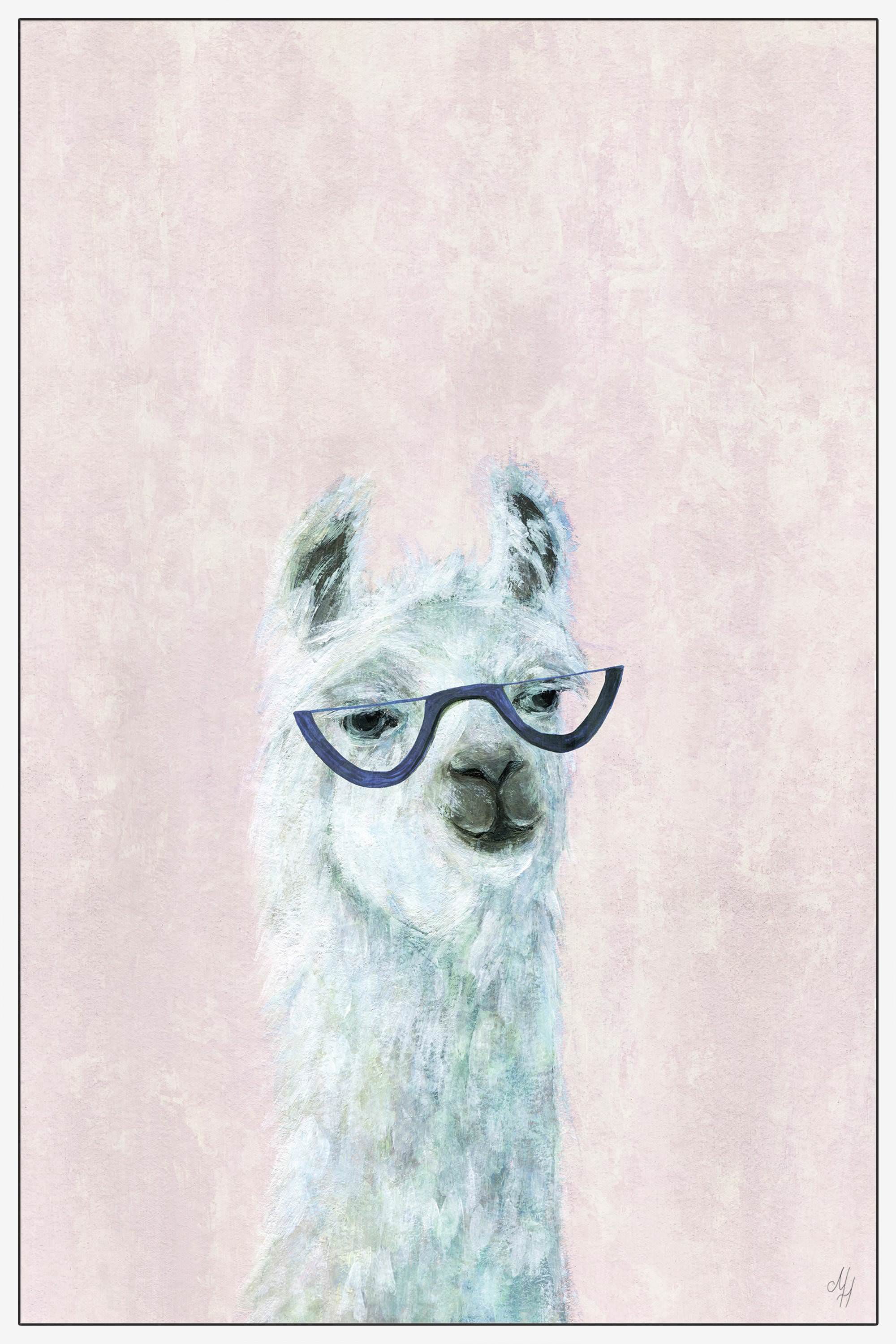 Posh Llama II Floater Framed Painting Print on Canvas