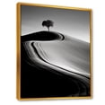 thumbnail image 2 of Designart "Black And White Solitary Desert Tree" Desert Floater Framed Canvas Prints, 2 of 5
