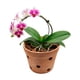 thumbnail image 1 of Maceta De Barro Para Orquídea, 1 of 5