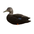 thumbnail image 7 of Avian X AXF Flocked Full Body Rugged Black Ducks Fusion Pack, 12 Pack, 7 of 7