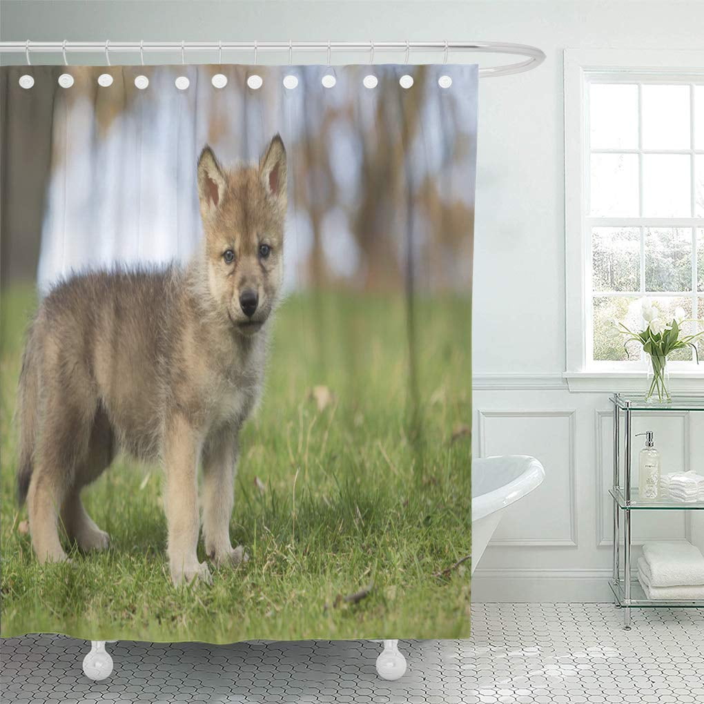 CYNLON Baby Profile of Young Grey Wolf Pup Standing Bathroom Decor Bath