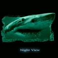 thumbnail image 4 of Startonight 3D Mural Wall Art Photo Decor Shark in my Room Amazing Dual View Surprise Wall Mural Wallpaper Animals Gift Medium 32.28 ?? By 59.06 ??, 4 of 4