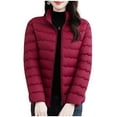 thumbnail image 2 of Ailaofu Women 2025 Fall Collar Casual Jacket Double Pocket Long Sleeve Jacket Outerwear, 2 of 6