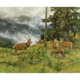 thumbnail image 2 of Josef Schmitzberger 23x20 Gold Ornate Framed and Double Matted Museum Art Print Titled - Red Deer in the Morning Mist, 2 of 4