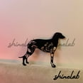 thumbnail image 2 of Shinelab FLoral Scottish Deerhound Metal Sign, Custom Name Family Dog LED Wall Art, Animal Home Decor 8313, 2 of 3