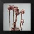 thumbnail image 2 of Atelier B Art Studio 15x15 Black Modern Framed Museum Art Print Titled - SEPIA POPPY HEAD PLANTS, 2 of 5