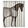 thumbnail image 1 of ABPHQTO Ideas Caballo Ecuestre Cortina de ducha Cortina de ducha impermeable 150x180 cm, 1 of 2