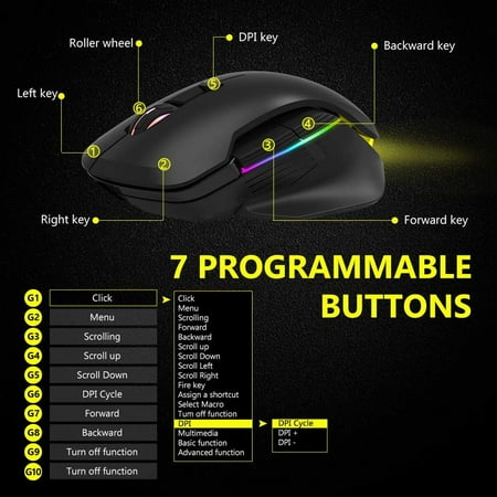Zelotes mouse website